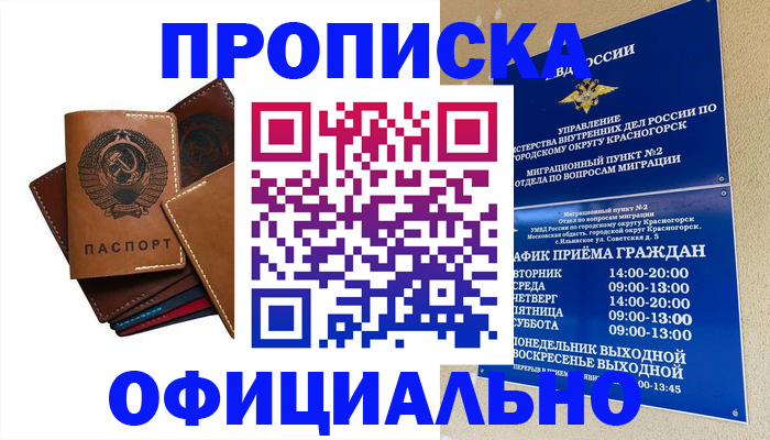 временная прописка в Канаше